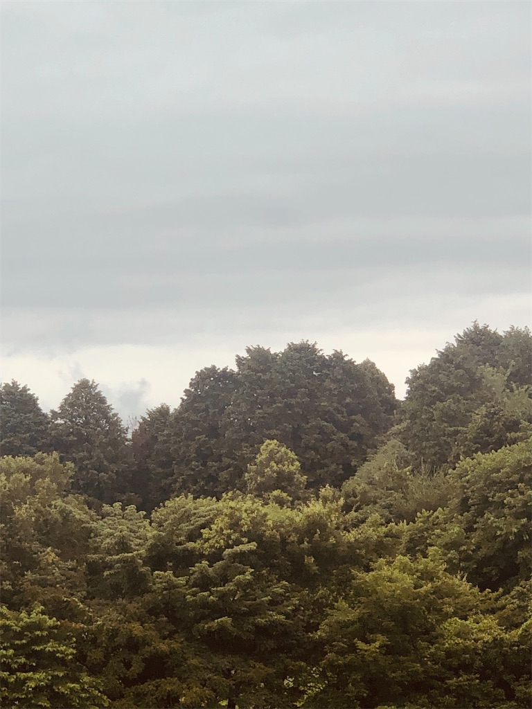 f:id:aki1717ok:20240629072440j:image