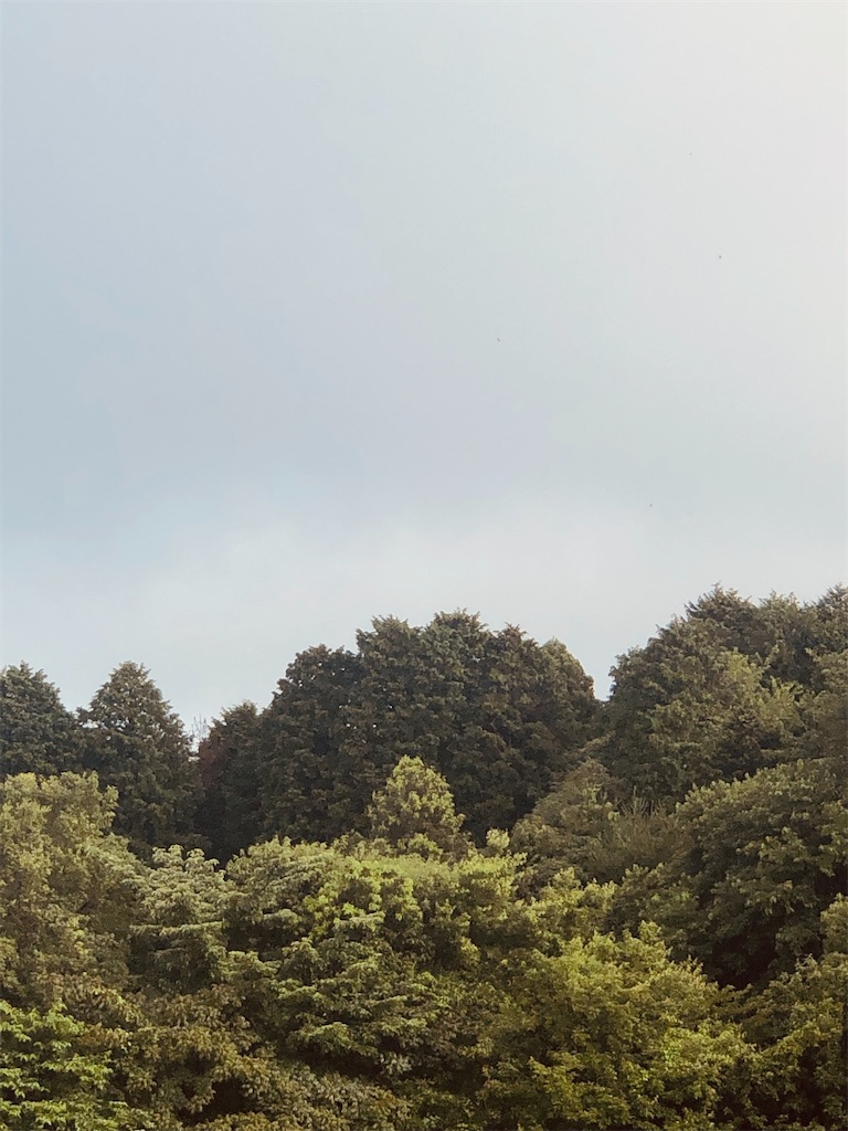 f:id:aki1717ok:20240702071151j:image