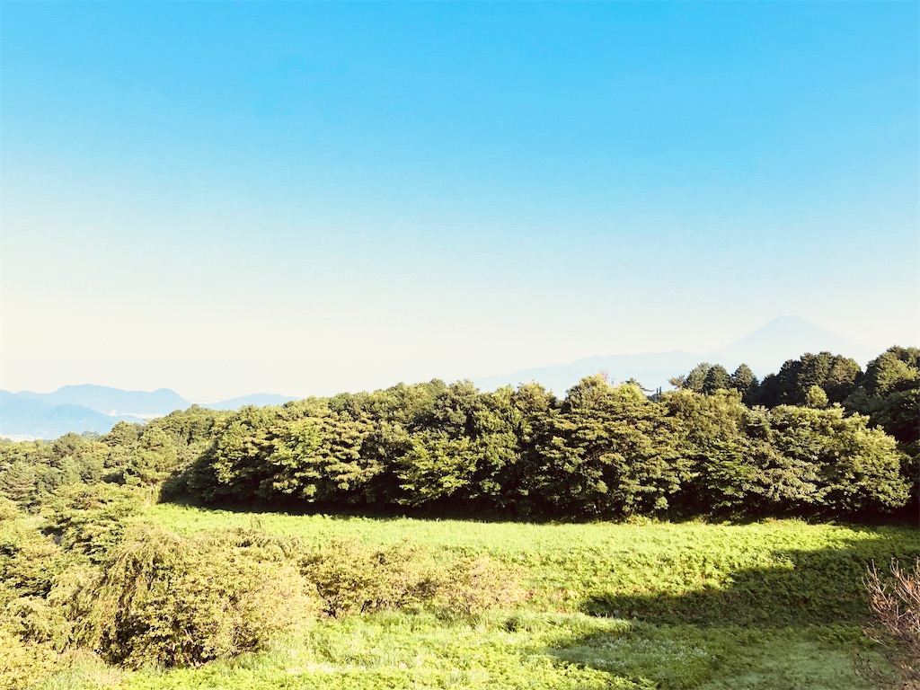 f:id:aki1717ok:20240705070811j:image
