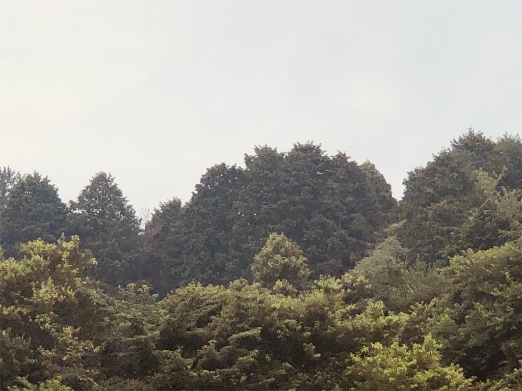f:id:aki1717ok:20240718071332j:image