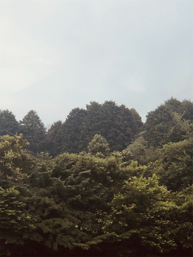 f:id:aki1717ok:20240718071335j:image