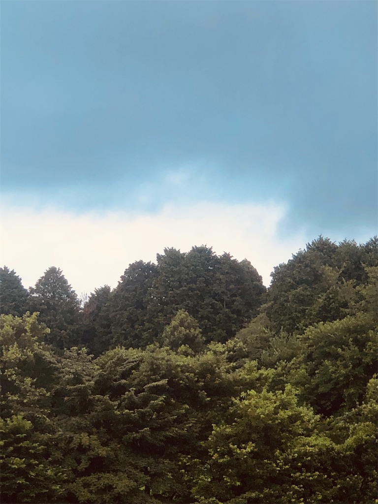 f:id:aki1717ok:20240720065805j:image