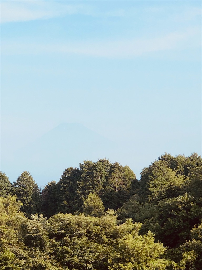 f:id:aki1717ok:20240721072438j:image