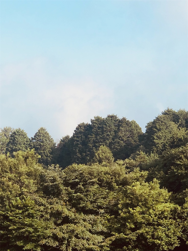 f:id:aki1717ok:20240722080017j:image