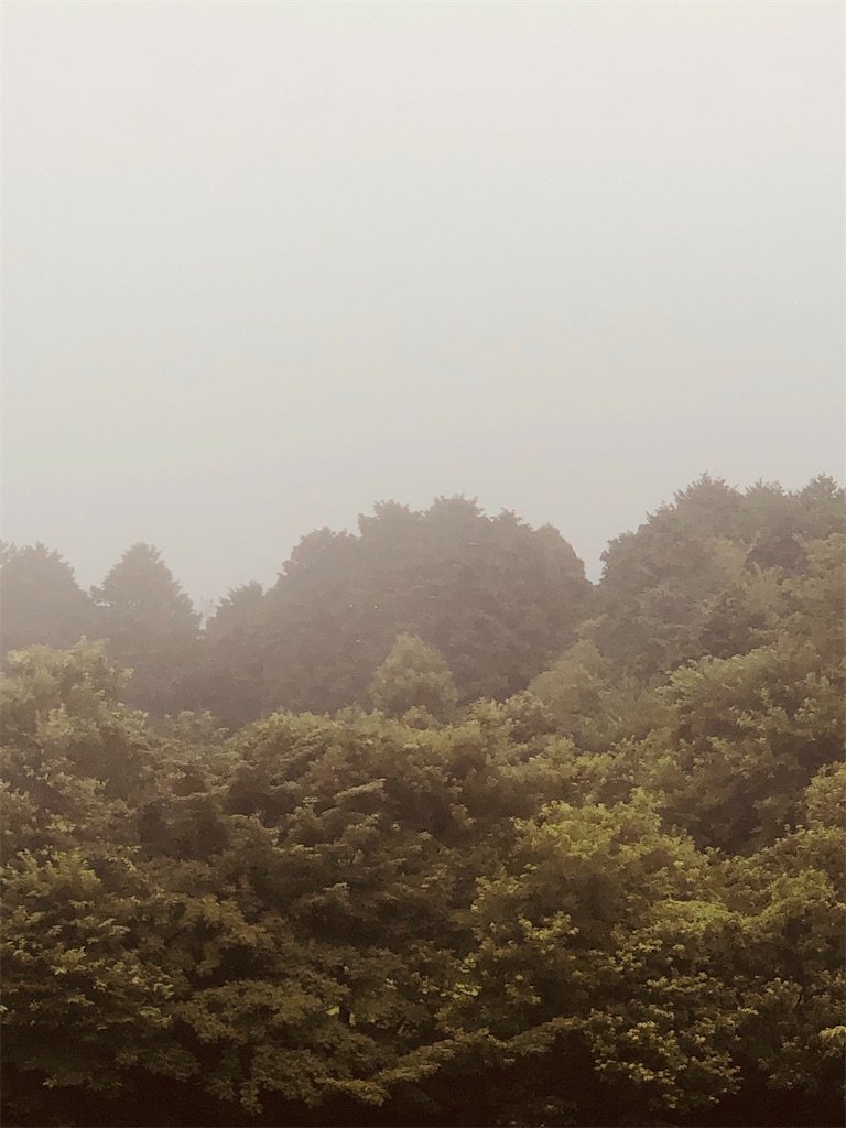 f:id:aki1717ok:20240727131827j:image
