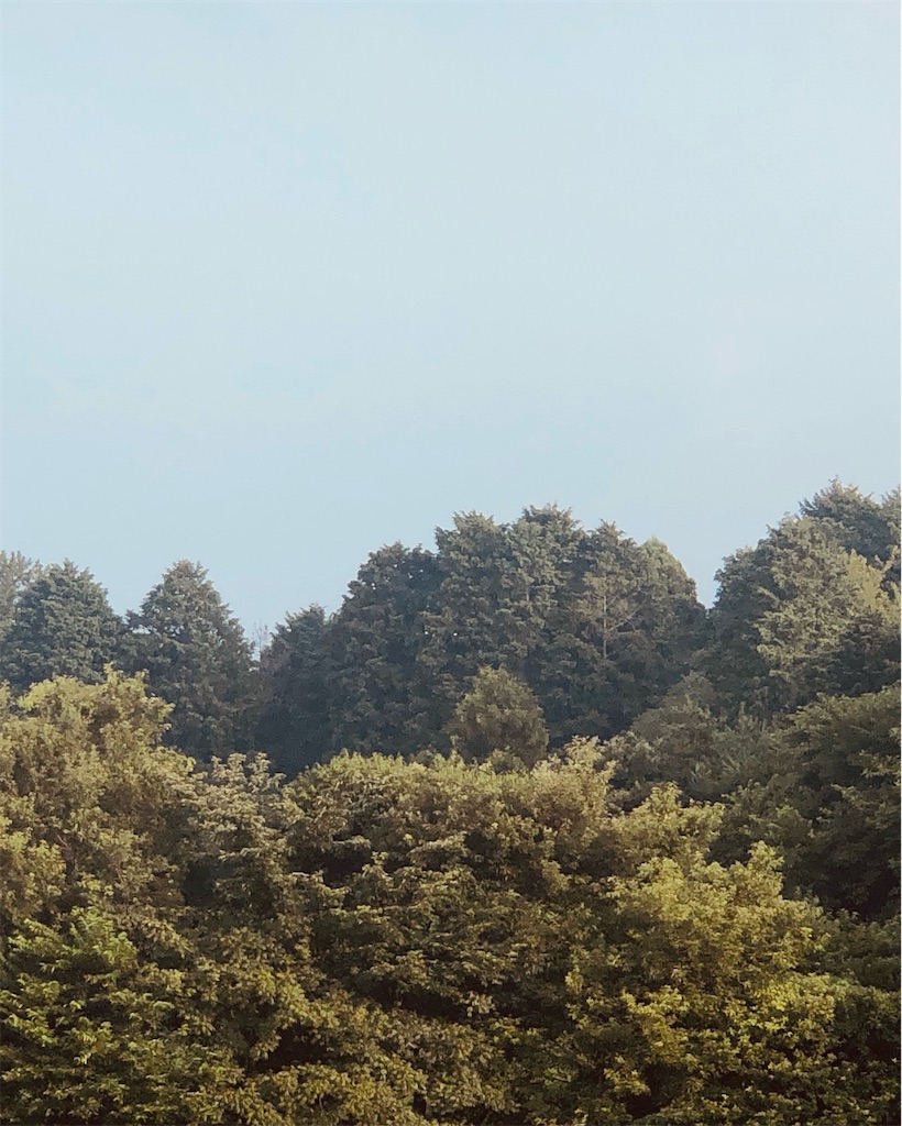 f:id:aki1717ok:20240804065406j:image