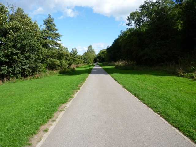 f:id:aki319809:20190706091306j:plain f:id:aki319809:20190706091306j:plain
