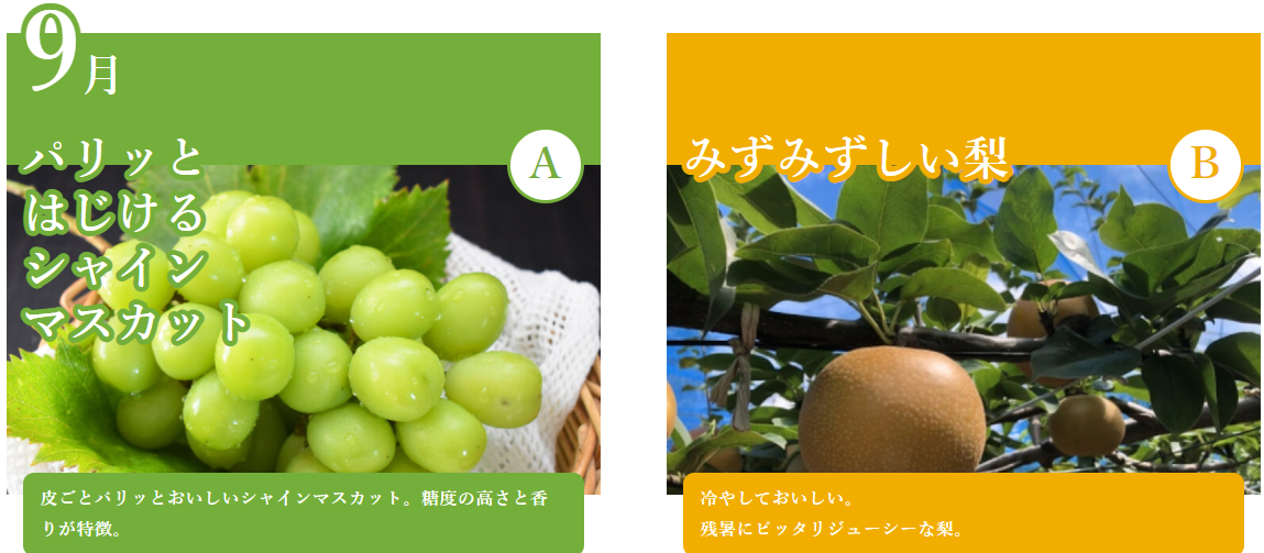 f:id:aki656:20210210163738p:plain