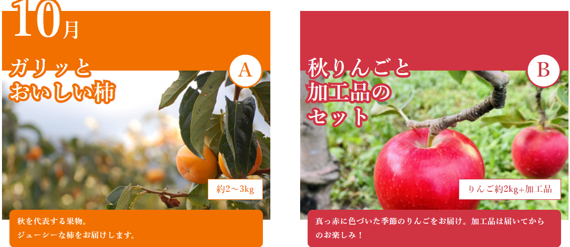 f:id:aki656:20210210163810p:plain