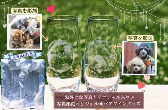 f:id:aki656:20210226170751p:plain