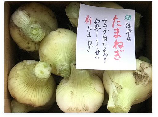 f:id:aki656:20210318172914p:plain