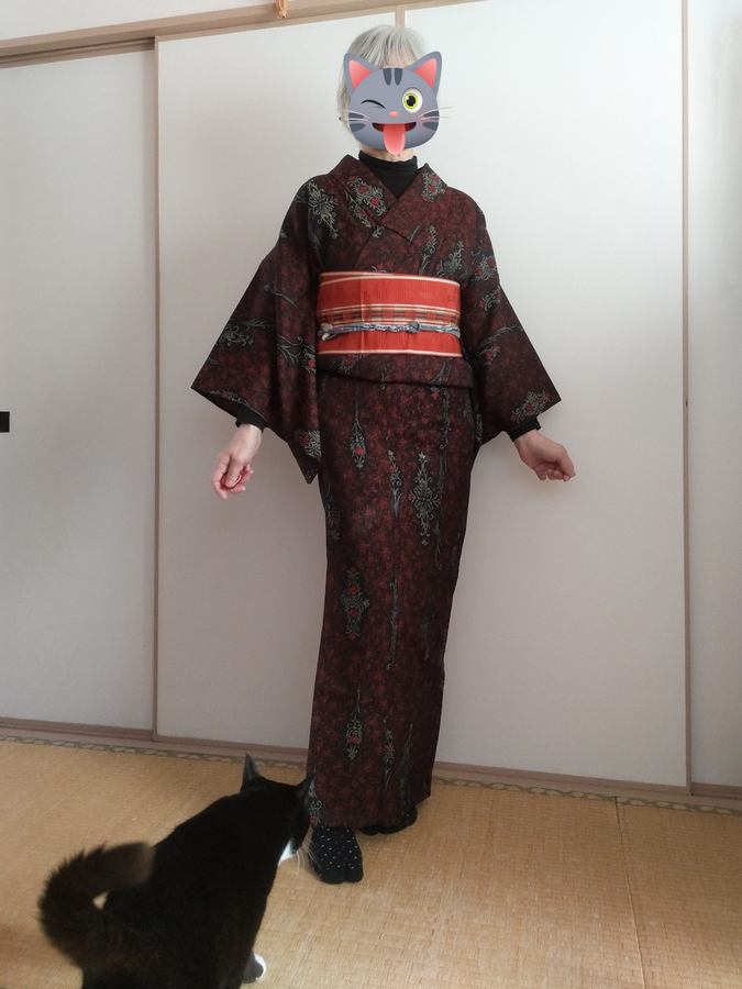 黒のジャガードウール着物 ゴムと簪でまとめ髪 今日の猫さん 