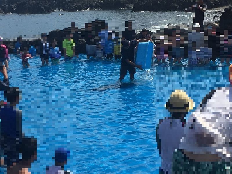 f:id:aki800:20200820061233j:plain