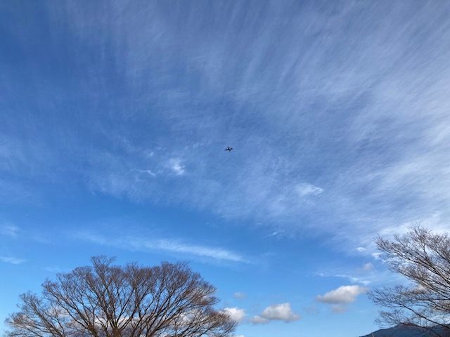 f:id:aki800:20210104051147j:plain