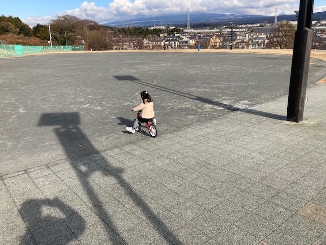 f:id:aki800:20210104051201j:plain