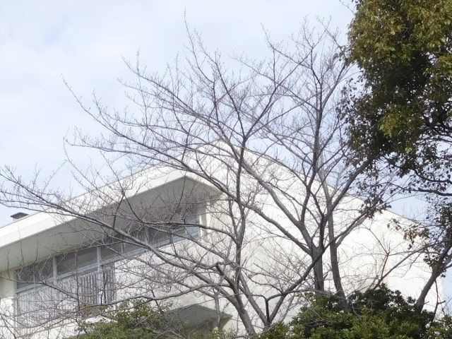 f:id:aki800:20210325060716j:plain