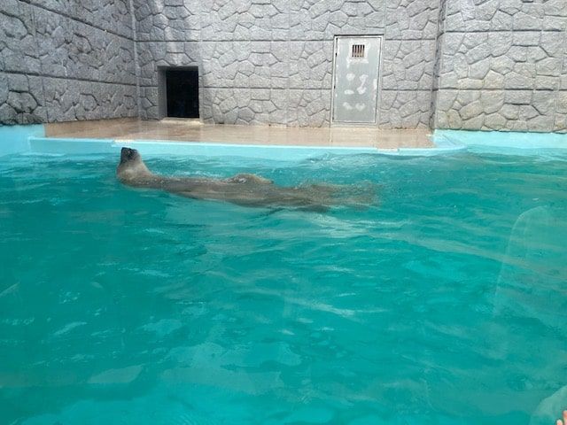 f:id:aki800:20211029060042j:plain