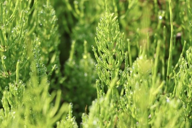 f:id:aki800:20220320055808j:plain