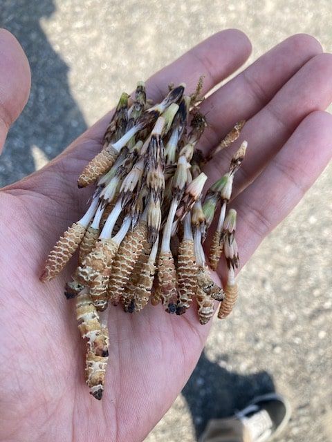 f:id:aki800:20220320055811j:plain