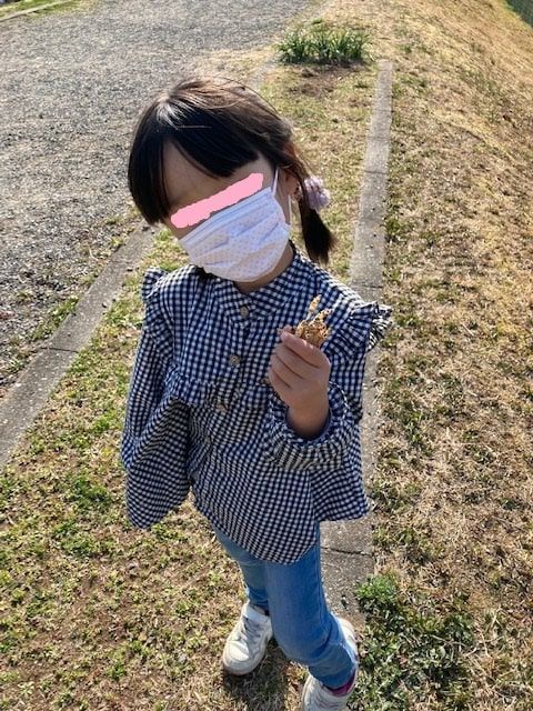 f:id:aki800:20220320055821j:plain