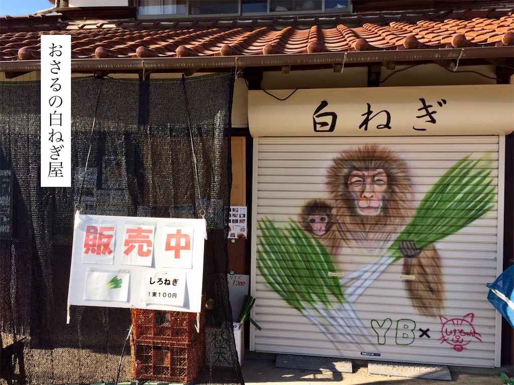f:id:aki_tokitamago:20200121215904j:image f:id:aki_tokitamago:20200121215904j:image