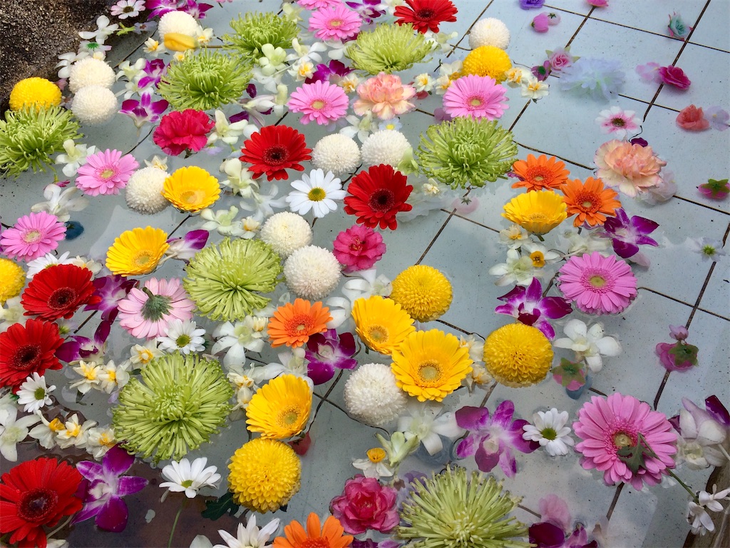 f:id:aki_tokitamago:20200208195701j:image f:id:aki_tokitamago:20200208195701j:image