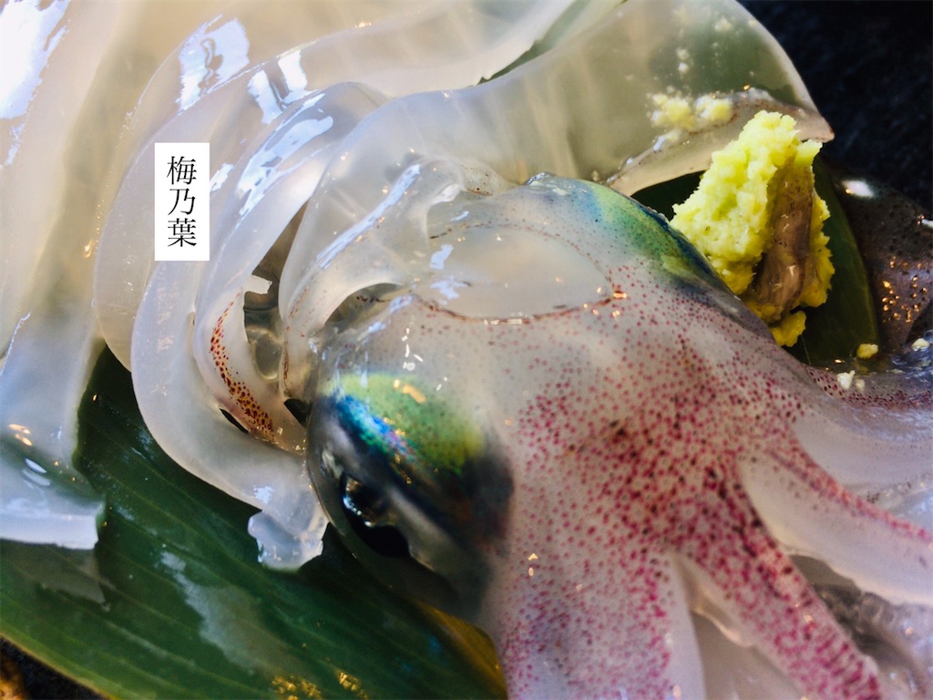 f:id:aki_tokitamago:20200413002547j:image f:id:aki_tokitamago:20200413002547j:image