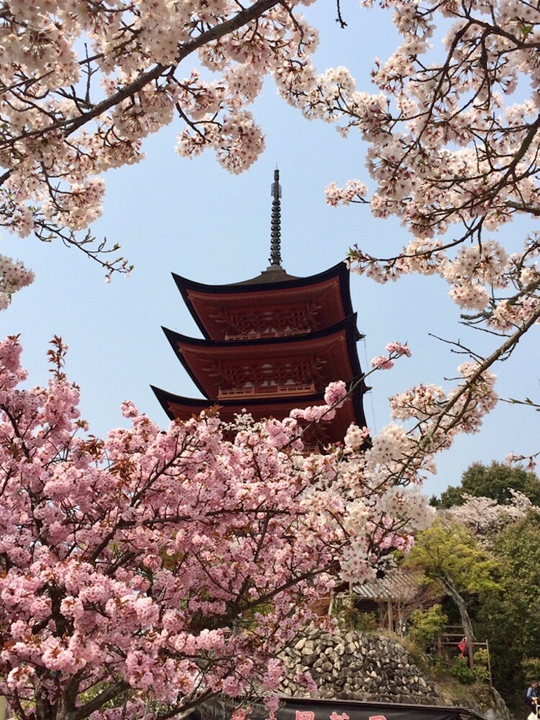 f:id:aki_tokitamago:20200418083501j:image