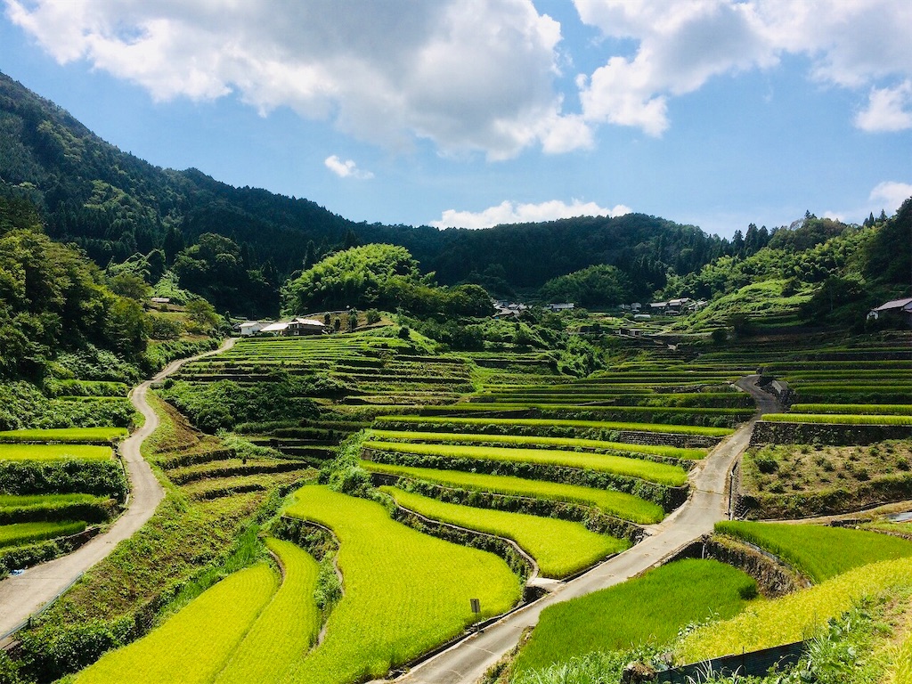 f:id:aki_tokitamago:20200509104543j:image f:id:aki_tokitamago:20200509104543j:image