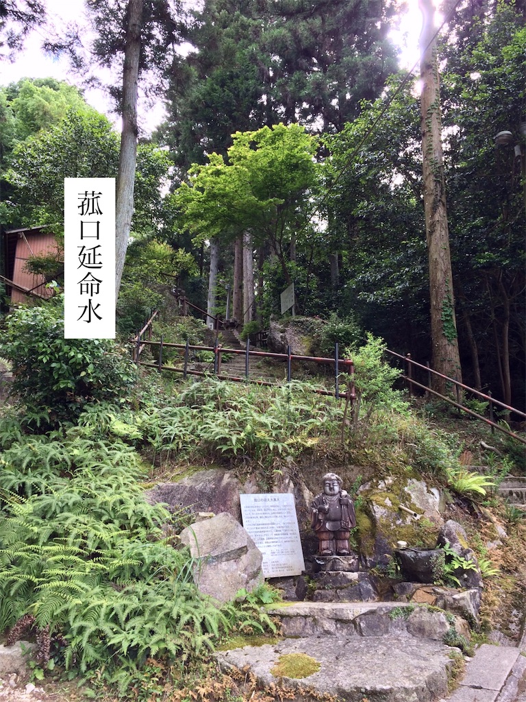 f:id:aki_tokitamago:20200531111955j:image f:id:aki_tokitamago:20200531111955j:image