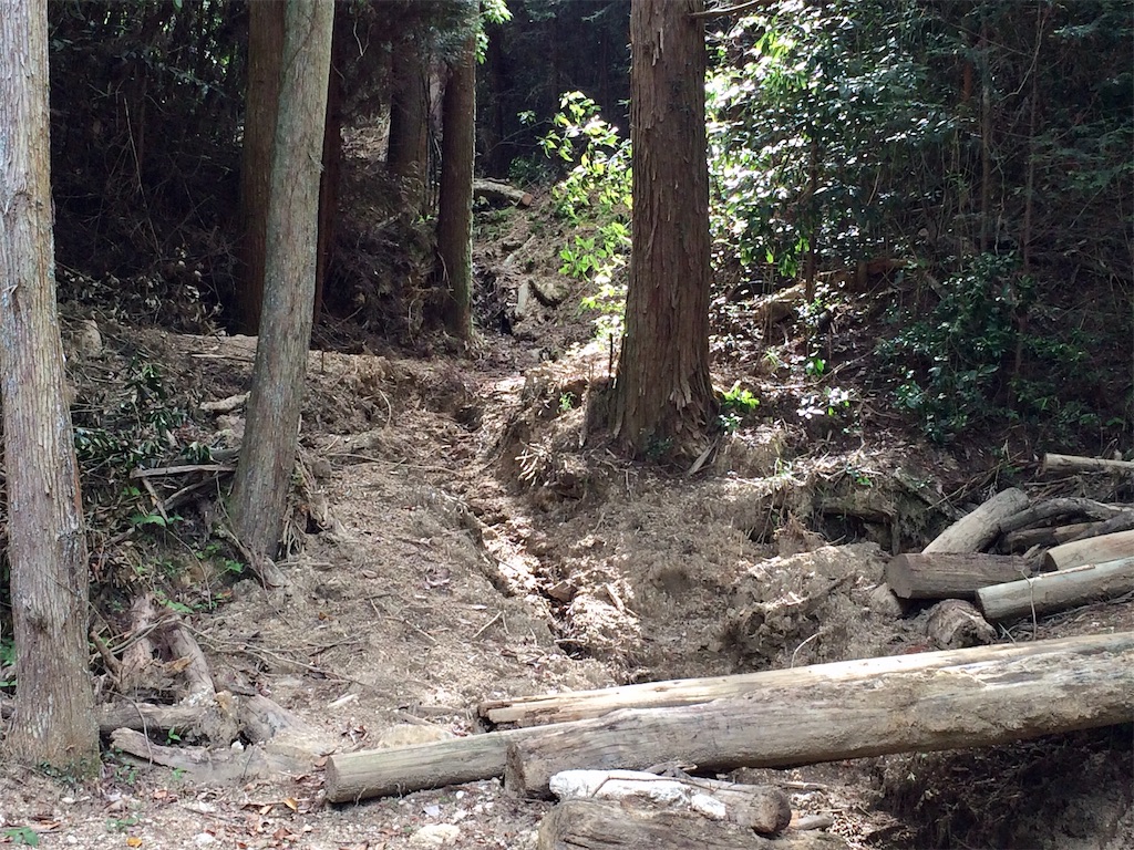 f:id:aki_tokitamago:20200531113350j:image f:id:aki_tokitamago:20200531113350j:image