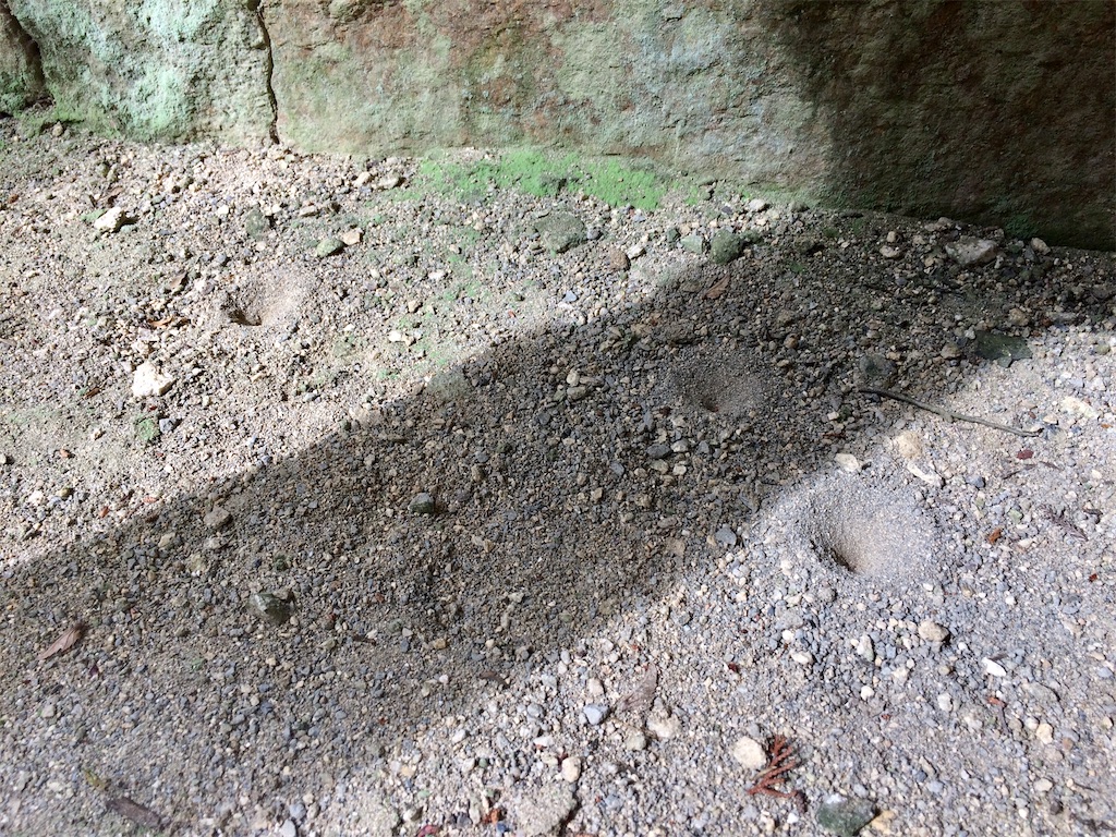 f:id:aki_tokitamago:20200531113406j:image f:id:aki_tokitamago:20200531113406j:image