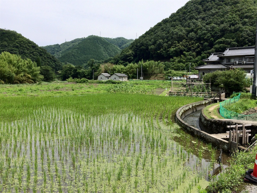 f:id:aki_tokitamago:20200621234001j:image f:id:aki_tokitamago:20200621234001j:image
