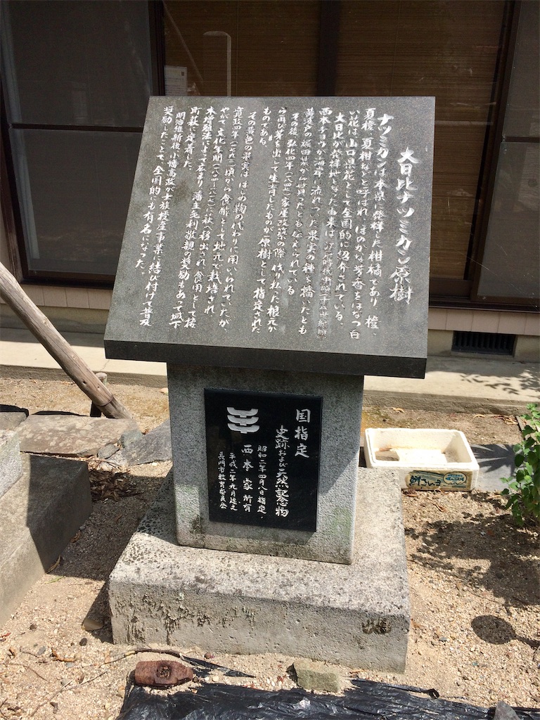 f:id:aki_tokitamago:20200706192452j:image