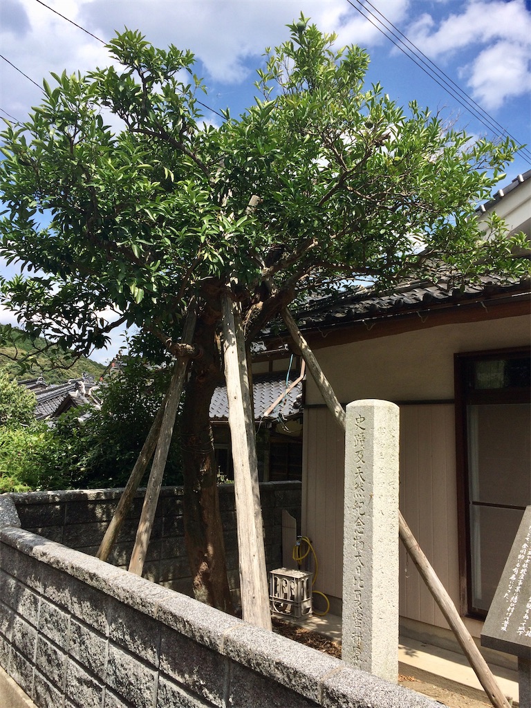 f:id:aki_tokitamago:20200706192503j:image