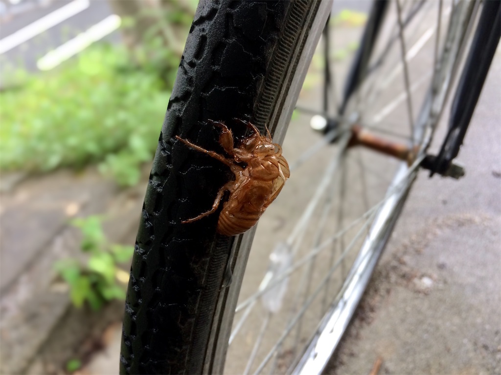 f:id:aki_tokitamago:20200904105212j:image