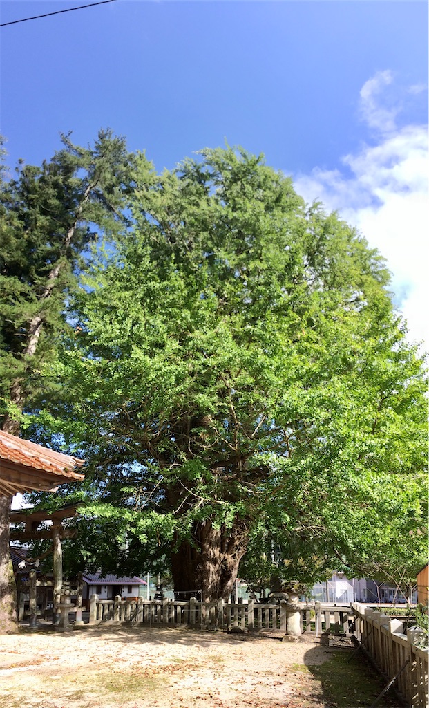 f:id:aki_tokitamago:20200930210141j:image f:id:aki_tokitamago:20200930210141j:image