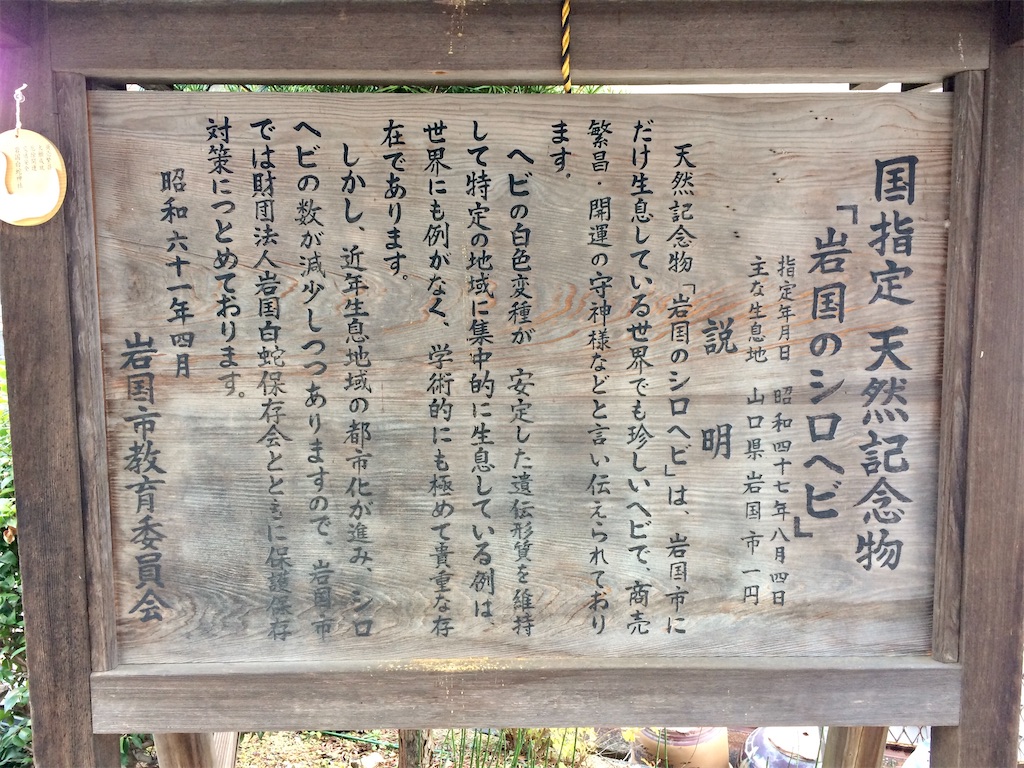 f:id:aki_tokitamago:20201130192534j:image