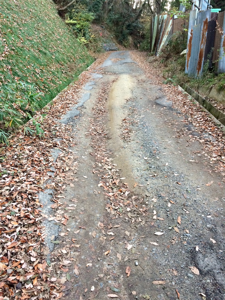 f:id:aki_tokitamago:20201212192803j:image f:id:aki_tokitamago:20201212192803j:image