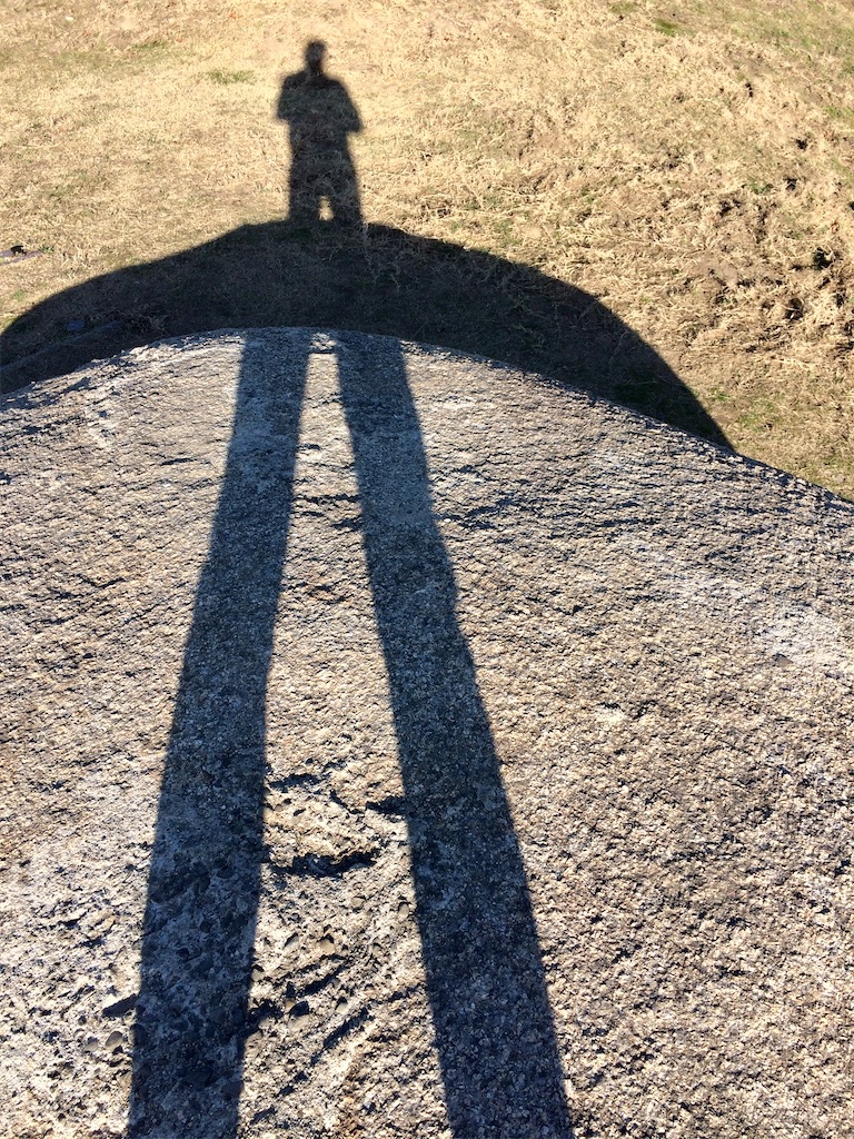 f:id:aki_tokitamago:20201212192819j:image f:id:aki_tokitamago:20201212192819j:image