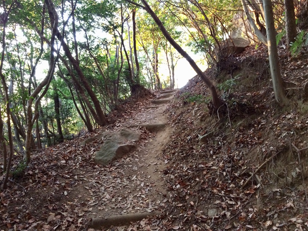 f:id:aki_tokitamago:20201213094155j:image f:id:aki_tokitamago:20201213094155j:image