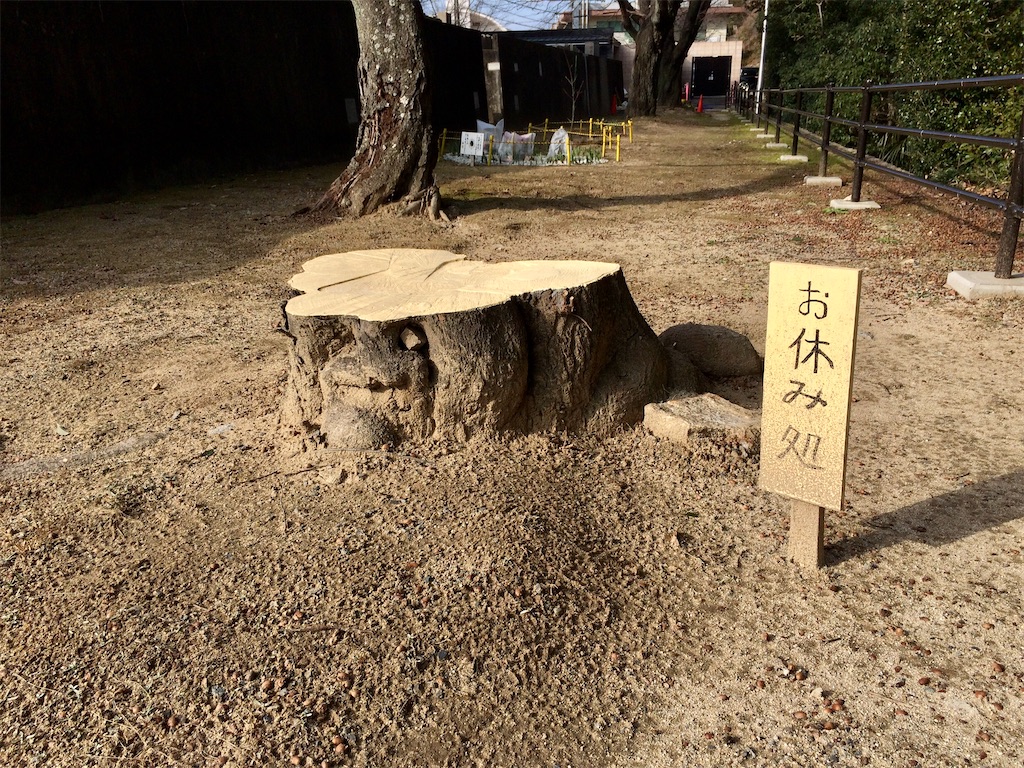 f:id:aki_tokitamago:20210131162645j:image