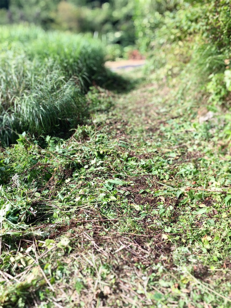 f:id:aki_tokitamago:20210925105553j:image