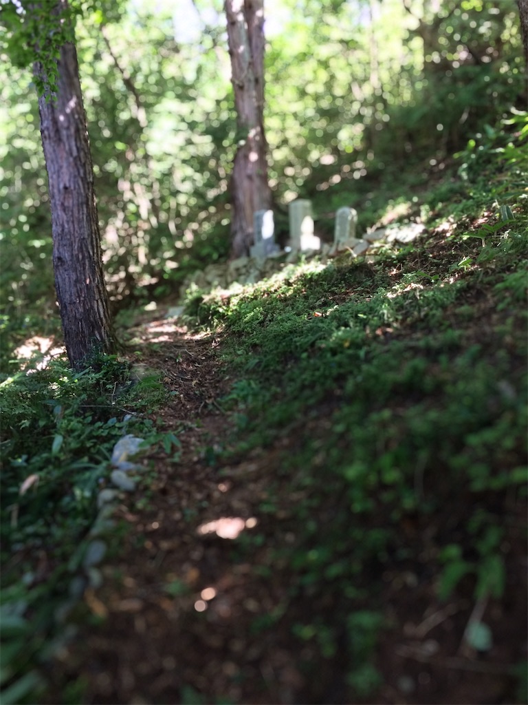 f:id:aki_tokitamago:20210925110137j:image