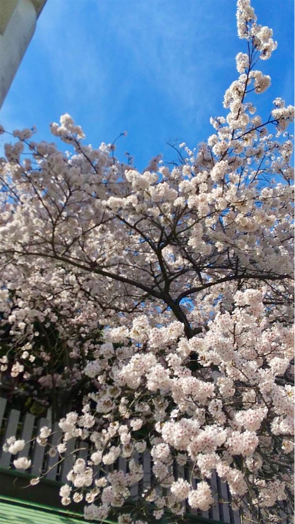 f:id:aki_tokitamago:20220403102724j:image