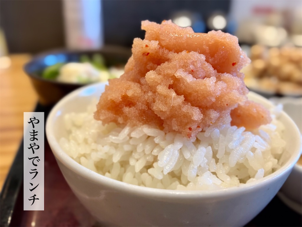 f:id:aki_tokitamago:20220930000123j:image f:id:aki_tokitamago:20220930000123j:image