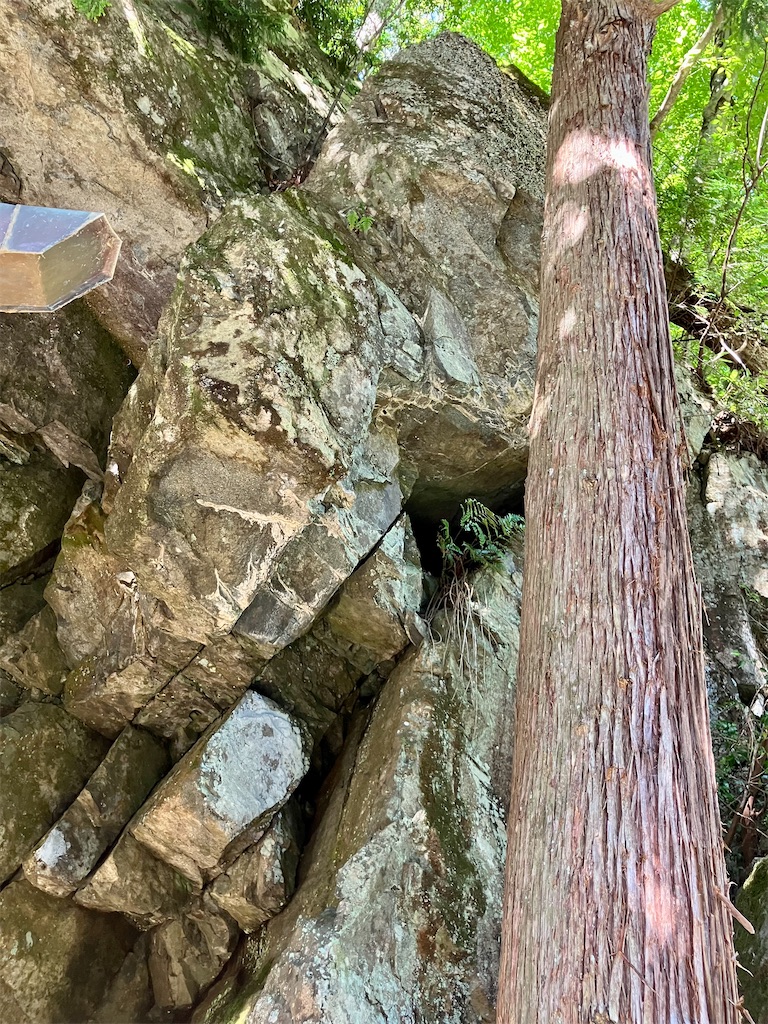 f:id:aki_tokitamago:20221008084004j:image