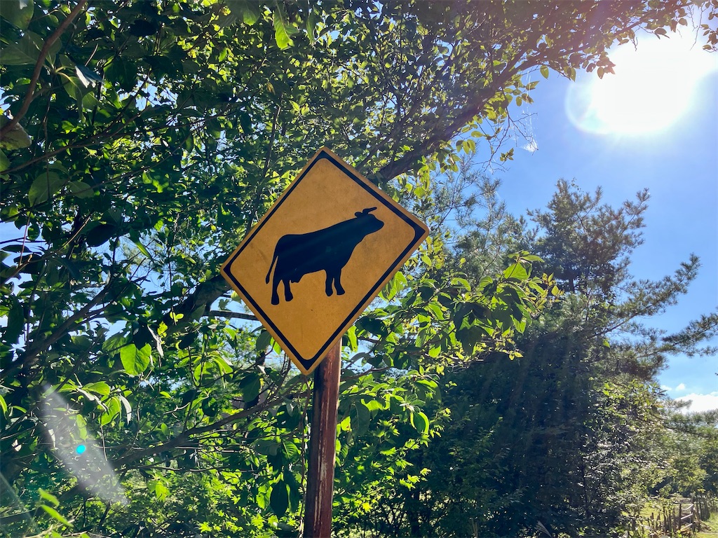 f:id:aki_tokitamago:20221008084019j:image