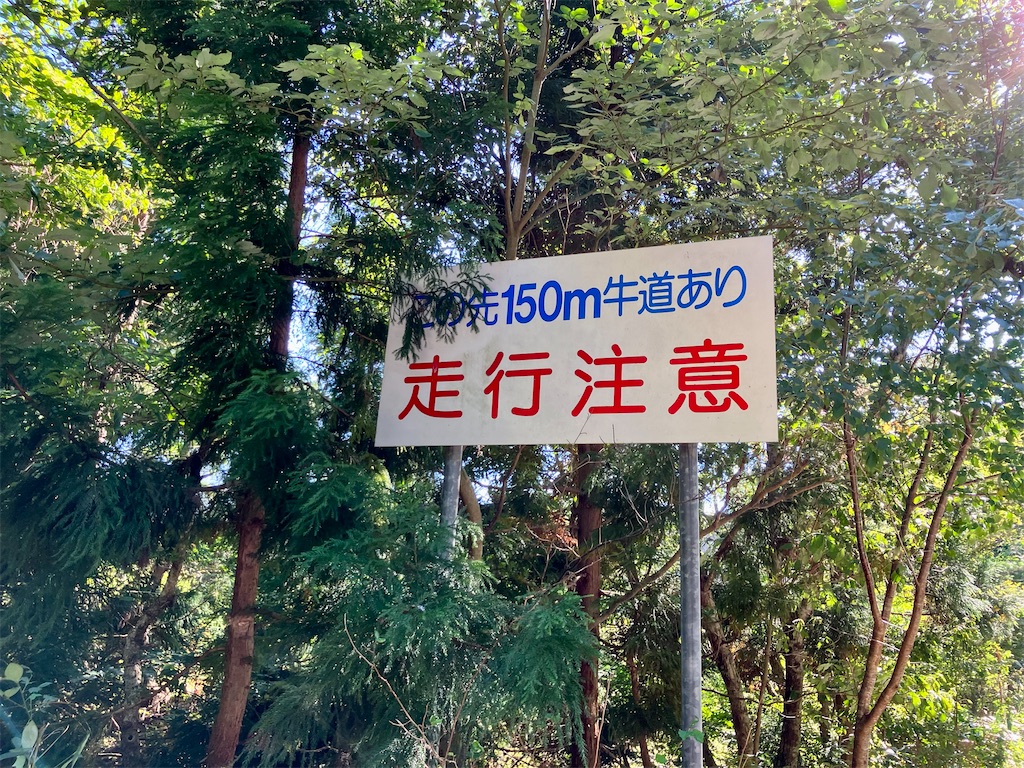 f:id:aki_tokitamago:20221008084023j:image