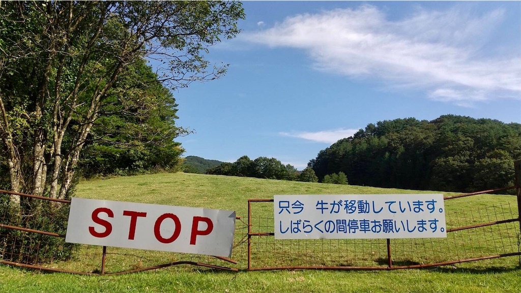 f:id:aki_tokitamago:20221008084102j:image